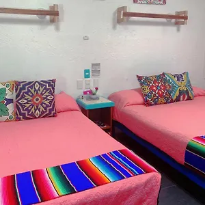beautiful-cozy-space-in-akumal-paradise-wifi-ac.allrivieramayahotels.com/