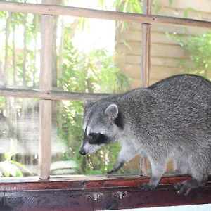 Close To The Town Utopia Holbox